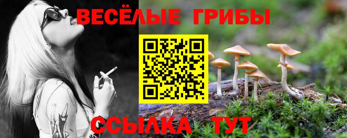Галлюциногенные грибы Psilocybine cubensis Лыткарино