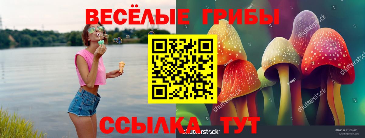 Лыткарино  Галлюциногенные грибы ЛСД  Вход с VPN  Галлюциногенные грибы прущие грибы 