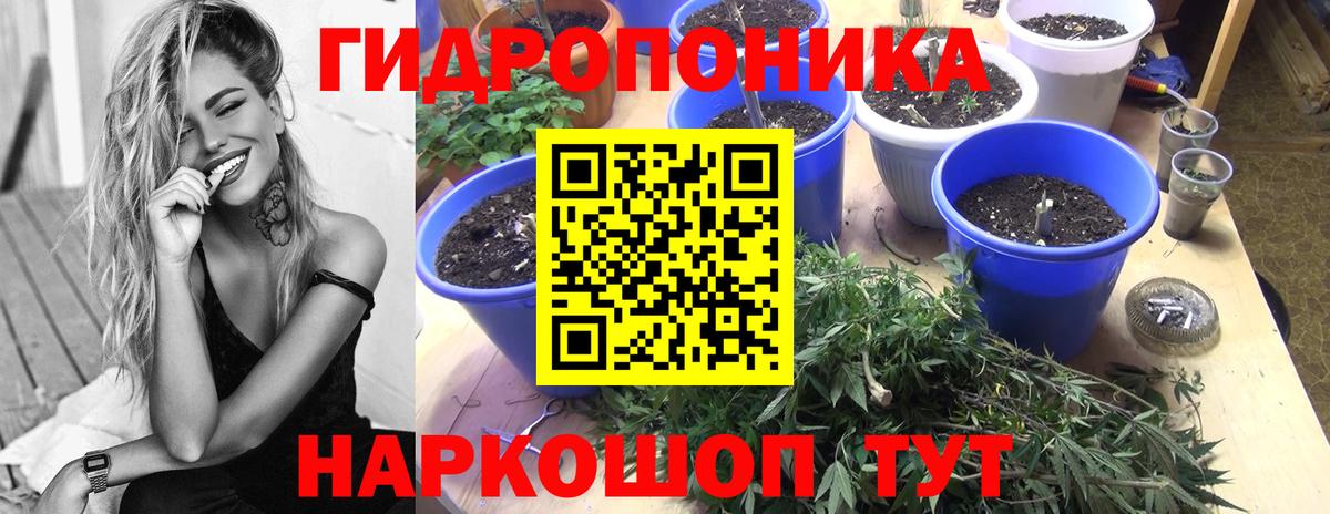 Шишки марихуана THC 21%  МАРИХУАНА гибрид  Лыткарино  Вход с VPN 